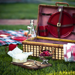 Picnic Tips for a Perfect Picnic