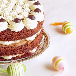 Fruit Cake