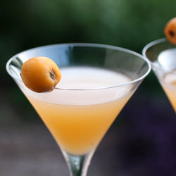 Loquacious Cocktail