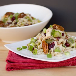 Chicken, Cranberry and Orzo Salad