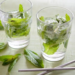 Fresh Mint Mojito
