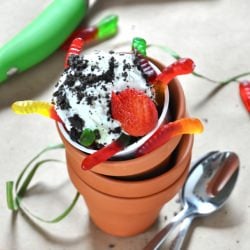Healthy Dirt n Worms Sundaes