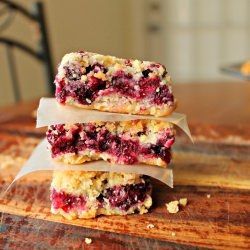 Blueberry Crumb Bars