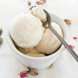 Homemade Yogurt Ice Cream