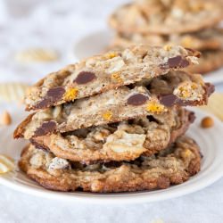 Compost Cookies