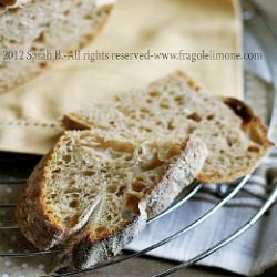 The “Tartine” Bread