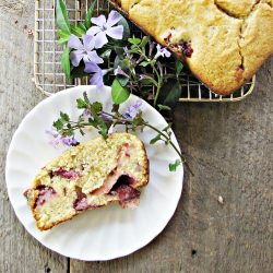 Strawberry Cornmeal Cake