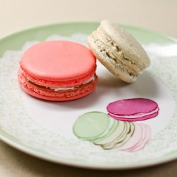 Rose Macarons