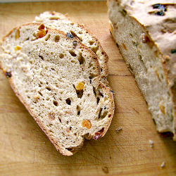 Raisin and Dried Apricot Bread