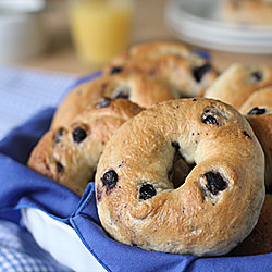 Blueberry Bagels