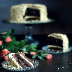 halvah and cocoa layer cake