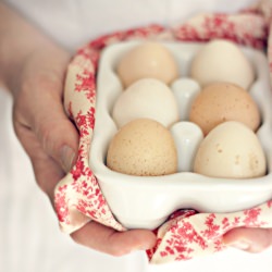 Farm Eggs