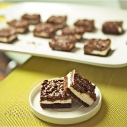 Deluxe Chocolate Marshmallow Bars