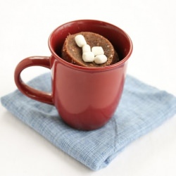 Hot Chocolate Mug Cake