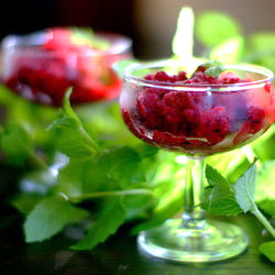 Frozen Fruit Sorbet
