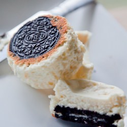 Individual Oreo Cheesecake