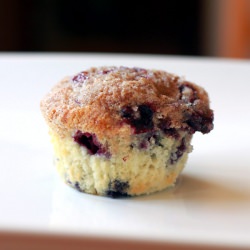 Perfect Blueberry Muffins