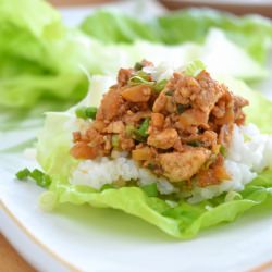Asian Pork Lettuce Wraps
