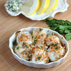 Scallop Gratins