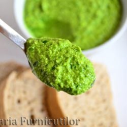 Wild Garlic Pesto