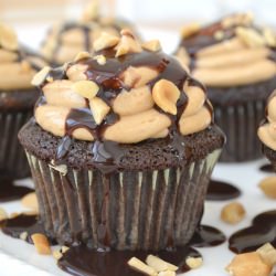 Chocolate Pb Cupcakes