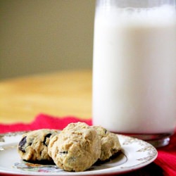 Garbanzo Cookie Balls