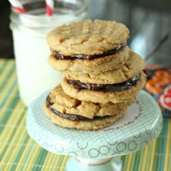 Chocolate Pb Cookies