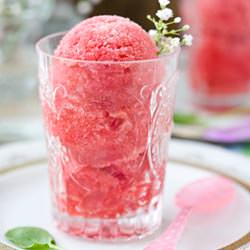 Blood Orange Granita