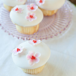 Blossom Cupcakes