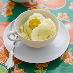 Calamansi Sorbet