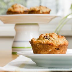 Cranberry Oatmeal Muffins