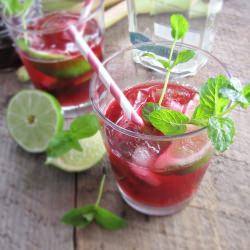 Rhubarb Hibiscus Mojitos