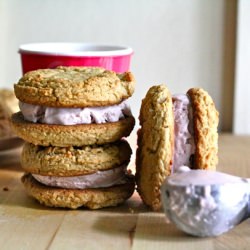 Homemade Ice Cream Sandwiches