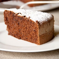 Cocoa and Black Chocolate Cake