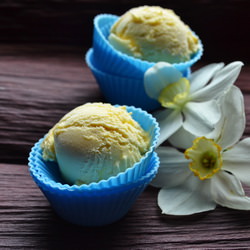 Homemade Yogurt Gelato