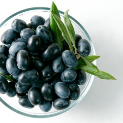 Homemade Oil-Cured Olives