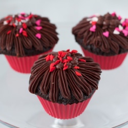 Chocolate Cupcakes