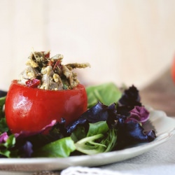 Pesto Chicken Salad Tomatoes
