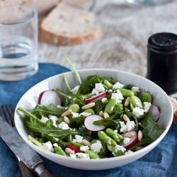Fava Beans Salad