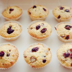 Cranberry-coconut cupcakes
