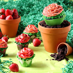 Flower Pot Cake
