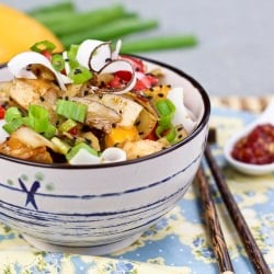 Spicy Mango and Coconut Chicken