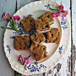 Brown Butter Blondies