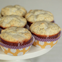 Lemon Poppyseed Muffin