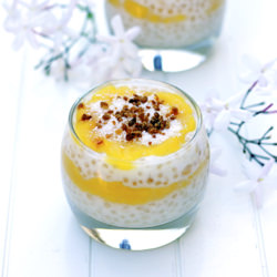 Jackfruit Tapioca Trifle