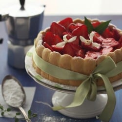 Strawberry Charlotte Russe