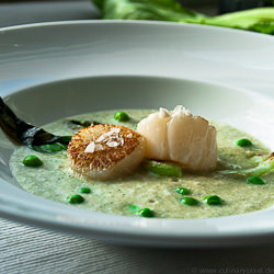scallops w/ gazpacho