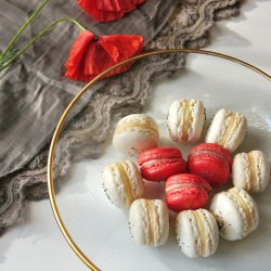 Poppy Seed Macarons
