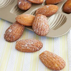 French Madeleines