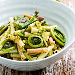 Fiddleheads and Chives